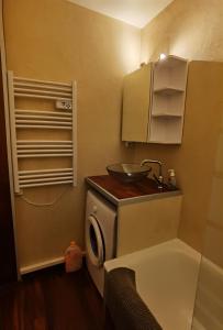 a small bathroom with a sink and a washing machine at Le balcon de villard in Villard-de-Lans