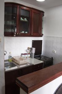 a kitchen with a sink and a stove at Green door in Vrnjačka Banja