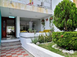 Bona Vida Hotel外面的花园