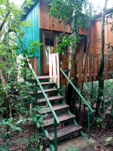 a staircase leading to a house in the woods at The Green Tree Lodge in Monteverde Costa Rica