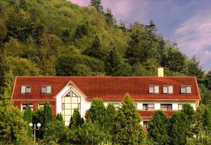 a house in front of a mountain with trees at Perełka Bieszczady in Cisna