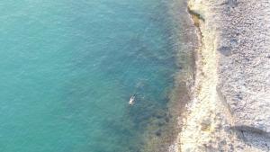 una vista aerea di una barca in acqua di La Dimora dei Pescatori a Vieste