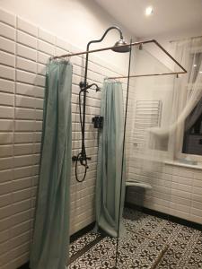 Kúpeľňa v ubytovaní Apartament w kamienicy Przy Plantach