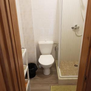 a small bathroom with a toilet and a shower at Apartamentai Vanagupės rajone in Palanga