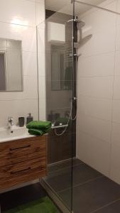 a bathroom with a glass shower and a sink at Ferienwohnung Fanny am See in Immenstadt im Allgäu