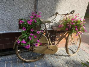 トルンにあるApartHome Barbara 2の路上の籠に花を入れた自転車