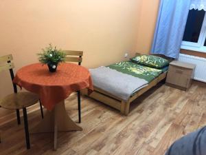 een kleine slaapkamer met een bed en een tafel met een plant erop bij Ryś Słoneczna Góra in Karpacz