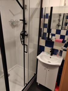 łazienka z prysznicem i umywalką w obiekcie Apartament Studio 11 Starówka Konin w Koninie