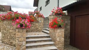 Fotografie z fotogalerie ubytování Nad Hřištěm 441 v destinaci Horní Planá