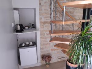 a kitchen with a spiral staircase and a plant at 10 Côté Cour in Chaux