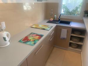 a kitchen with a sink and a counter with plates at Apartamenty Kris in Mikołajki