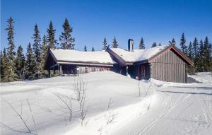 Το Gorgeous Home In Østby With Wifi τον χειμώνα