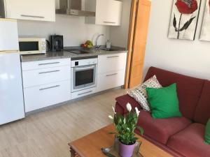 a living room with a couch and a kitchen at PLAZA DE ESPAÑA 1 DORMITORIO in Nerja