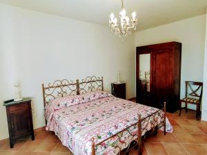 Gallery image of Agriturismo La Vite Maritata in Pietrasanta