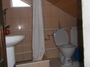 a bathroom with a toilet and a sink at Rukavychka in Yaremche +28 photos