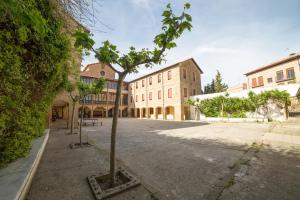 a small tree in the middle of a street at Hospedería Bei.tu in Beire