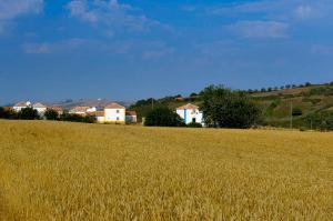 um campo de relva com casas ao fundo em Aldeia da Mata Pequena em Mafra