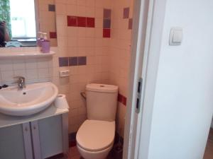 a bathroom with a toilet and a sink at Giżycko Studio Apartament in Giżycko