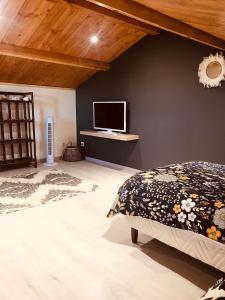 a bedroom with a bed and a tv on a wall at La bohème, gîte de charme in Quincié-en-Beaujolais