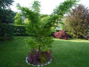 A garden outside Monolocali In Casa Con Giardino Bellagio