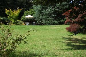 A garden outside Monolocali In Casa Con Giardino Bellagio