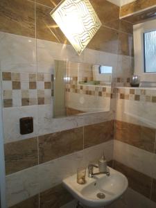 a bathroom with a sink and a mirror at Penzion Burda in Žehrov
