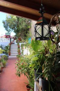 a patio with plants and a light hanging from a building at Casa Los Palitos in Monte de Breña