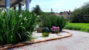 Fotografie z fotogalerie ubytování Axtburg Apartments v destinaci Bérbaltavár