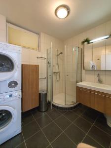 ein Badezimmer mit einer Waschmaschine, einem Waschbecken und einer Waschmaschine in der Unterkunft Zegg-Lounge in Seeboden