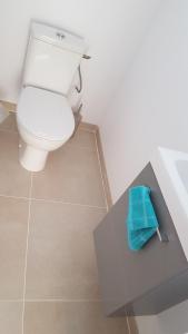 a bathroom with a toilet and a sink with a blue towel at Maison Neuve Moderne in Fresney-le-Vieux