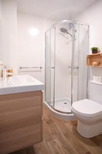 een badkamer met een douche en een toilet bij Canteras beach apartment +3Bed +2Bath +Wifi in Las Palmas de Gran Canaria