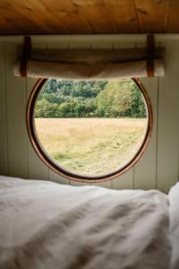 a window view of a field from a bed at Abbeyfield Horsebox Glamping in Morpeth