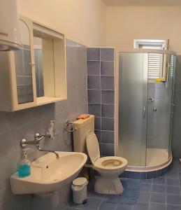 uma casa de banho com um WC, um lavatório e um chuveiro em Apartmani Ana em Karlobag