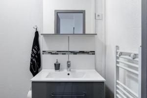 La salle de bains est pourvue d'un lavabo et d'un miroir. dans l'établissement MyHome Basel RC44B, à Saint-Louis