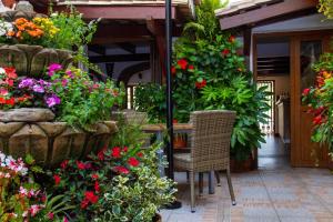 Zahrada ubytování Hotel Almadraba