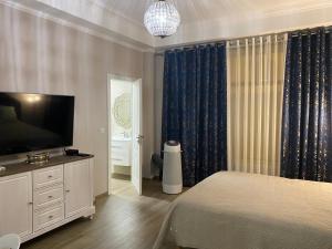 a bedroom with a bed and a flat screen tv at Large beautiful studio near the NEGRESCO HOTEL in Nice