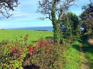 un camino en un campo con flores y un árbol en Baurleigh studio apartment P72F340 en Lissaphooca Cross Roads