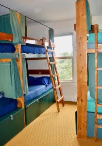 a room with three bunk beds and a window at Green Tortoise Hostel Seattle in Seattle