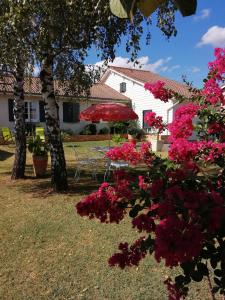 una mesa y una sombrilla en un patio con flores rosas en Chambres d'hôtes le Clos de la Presle, Compostelle en Saint-Georges-Haute-Ville