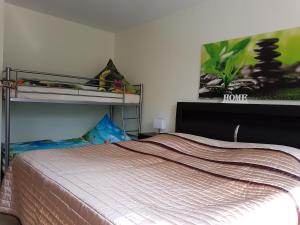 a bedroom with a bunk bed in a room at Ferienwohnanlage Majorcas in Dahme