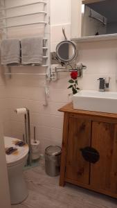 A bathroom at Meisters Schick im Stryck Willingen