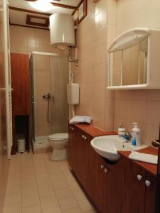 Ванна кімната в Divna Apartment