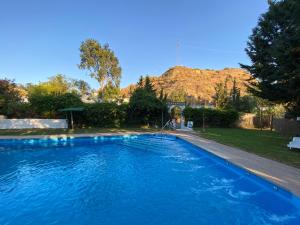 a swimming pool with a hose in a yard at Cuevas Pedro Antonio de Alarcon in Guadix