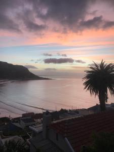 a sunset over the water with a palm tree at Above the Sea in Fish hoek