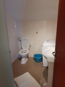 Koupelna v ubytování Apartments T & D