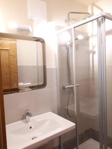 Vannituba majutusasutuses Putzenhof Appartements