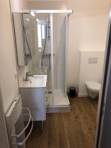 a bathroom with a shower and a sink and a toilet at Logement dans le Vieux Tours in Tours