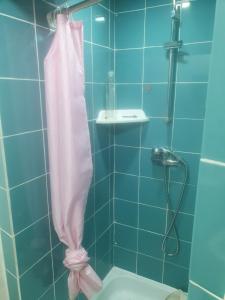 uma casa de banho com um chuveiro com uma cortina de chuveiro rosa em Truz truz2 no Porto
