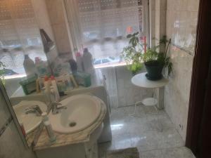 La salle de bains est pourvue d'un lavabo et d'une plante dans la fenêtre. dans l'établissement Truz truz2, à Porto 4 autres photos