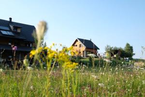 a field of flowers in front of a house at House Izvor in Jezerce